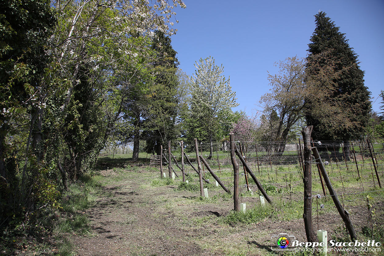 VBS_7436 - PressTour educational dedicato ai vini del Pinerolese e all’olio prodotto sulla collina di Pinerolo.jpg